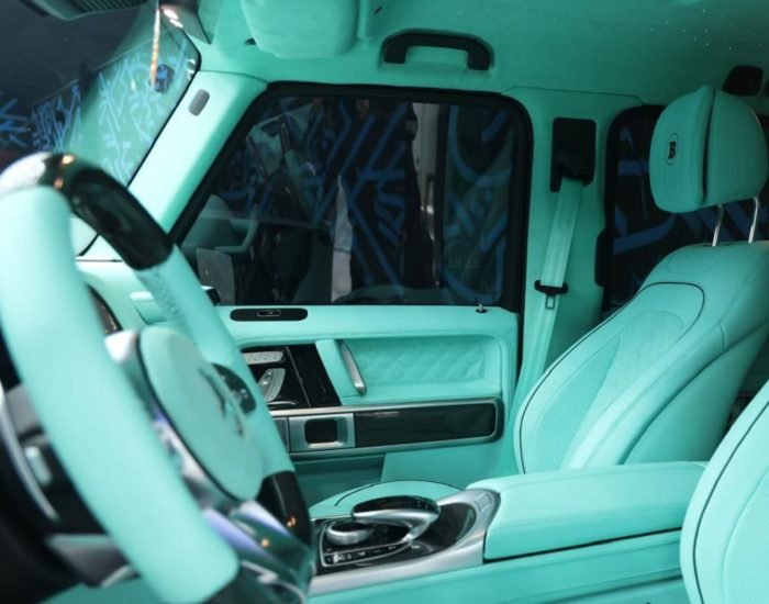 MERCEDES BENZ G63 BLINKY (8)